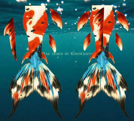 Koi Betta Koi Betta